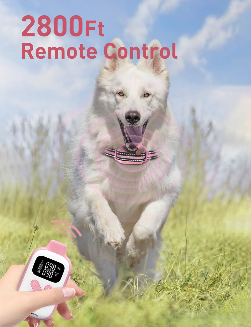 DOGLinsen IPX7 waterproof receiver withstands rain and splashes.