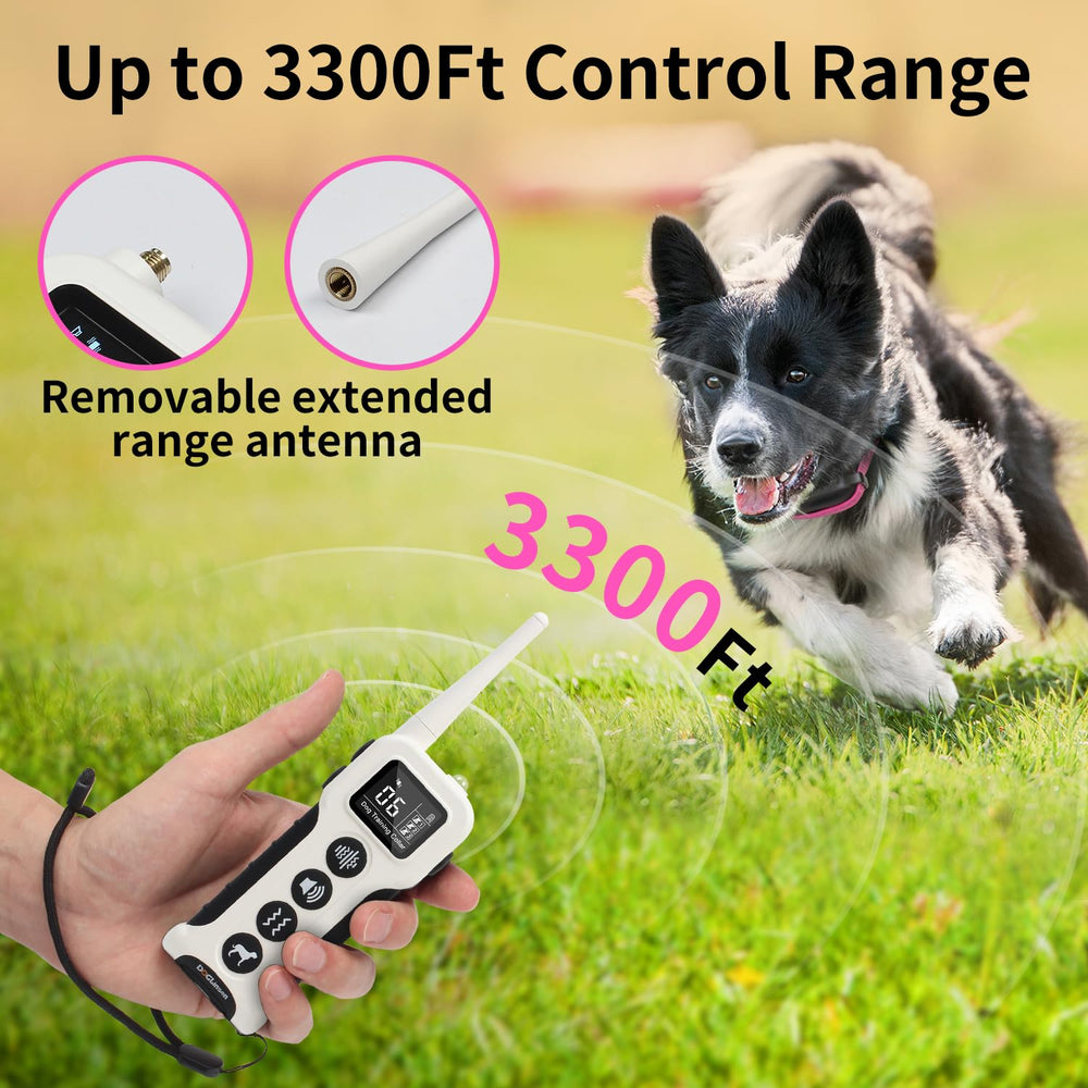 DOGLinsen remote with removable antenna beside collar for extended range