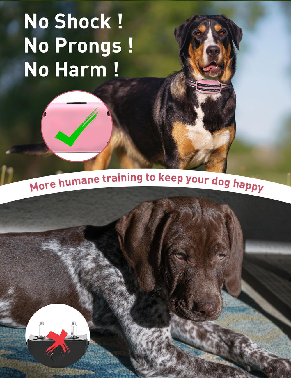 DOGLinsen remote control setup shows multi-dog training with memory.