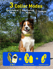 DOGLinsen remote training control in use for indoor/outdoor sessions