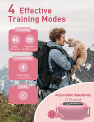 DOGLinsen remote training setup highlights user friendly handheld control during outdoor sessions