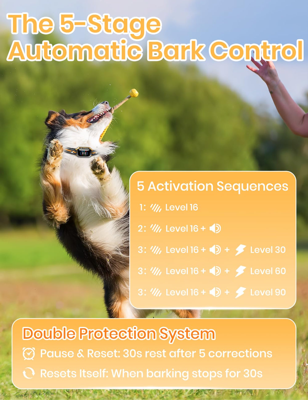 DOGLinsen tone-vibration-shock options provide customizable cues for different dog sensitivities.