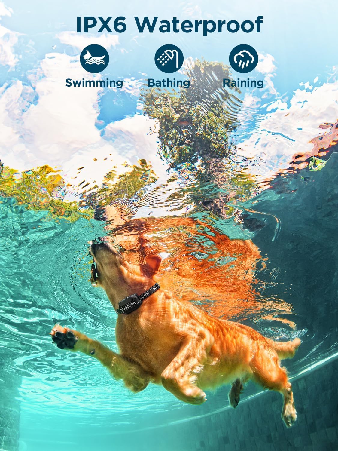 DOGOITM easy setup requires no transmitter or app for quick installation.
