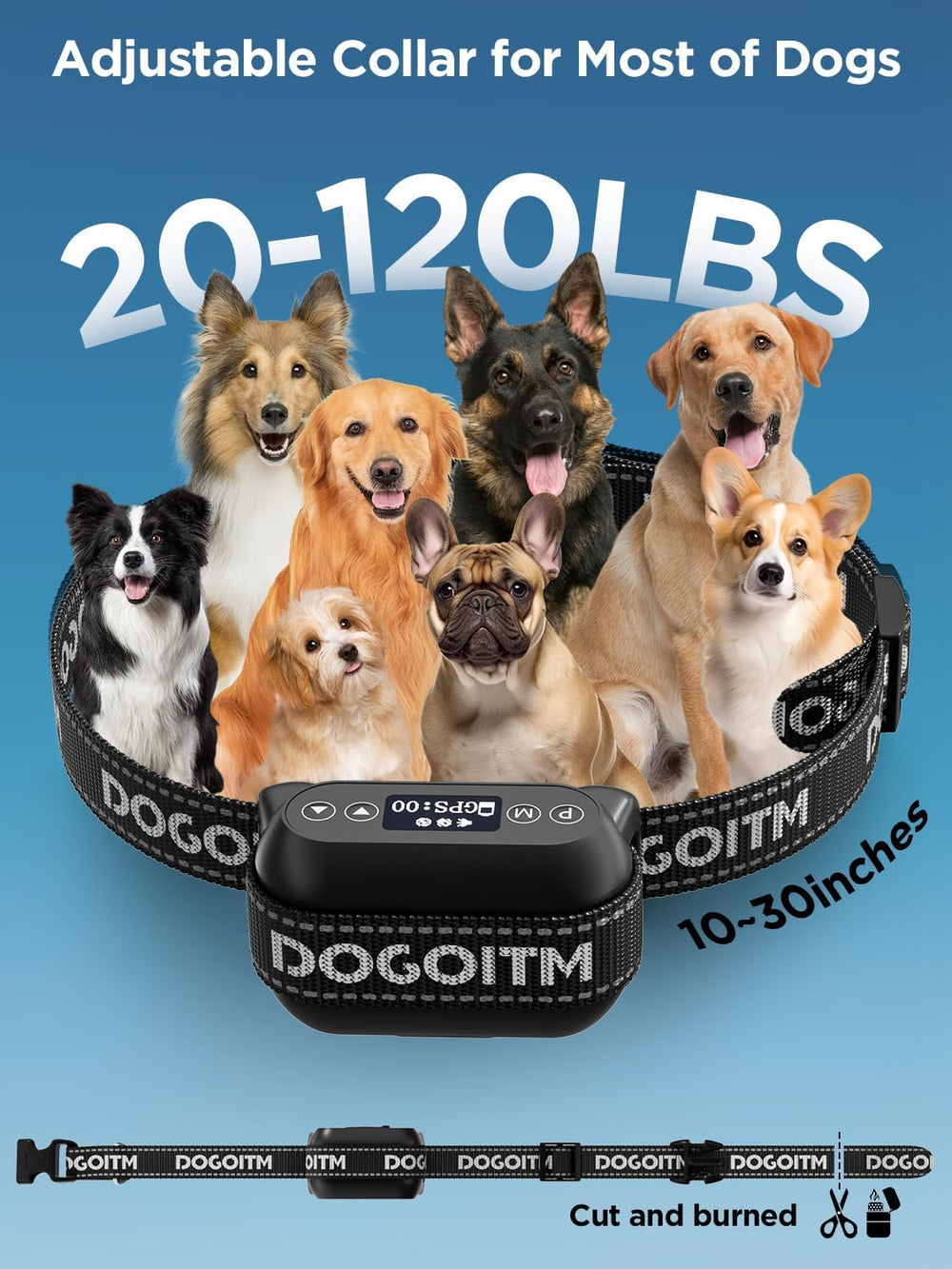 DOGOITM two-dog system supports shared playtime and contained spaces