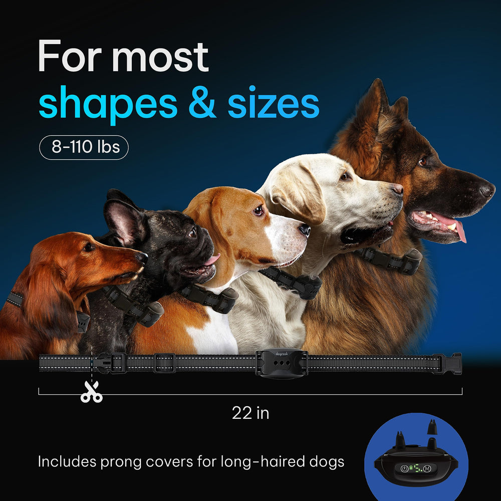 DogRook waterproof bark collar suitable for rain and outdoor use.