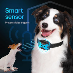 DogRook rechargeable battery indicator for long-lasting use during sessions