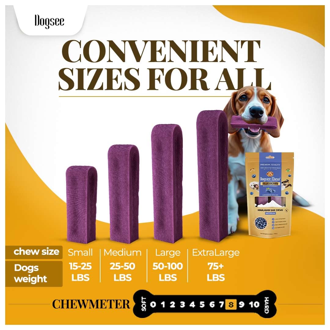 Dogsee Blueberry dental chews support clean teeth and fresh breath.