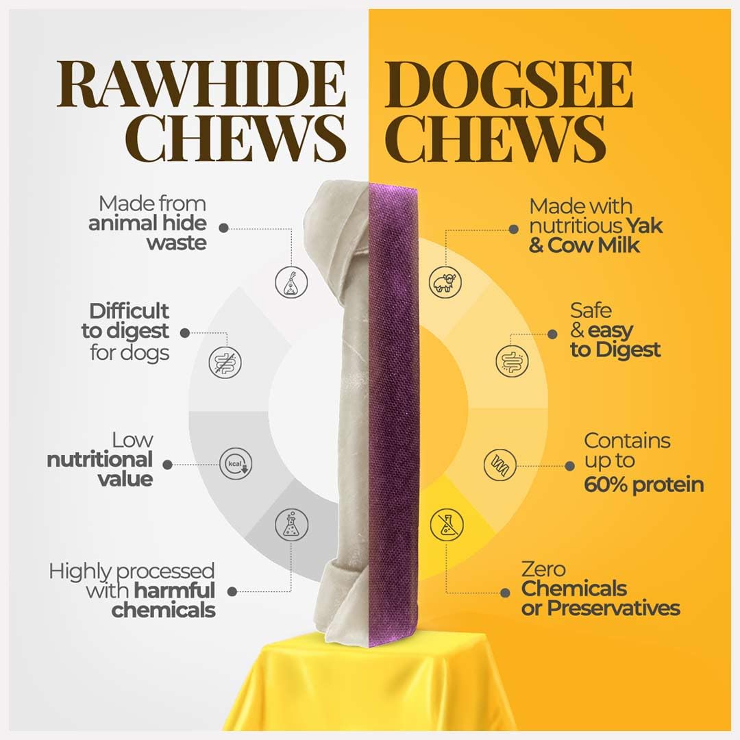 Dogsee Blueberry dental chews close-up texture highlighting chew quality.