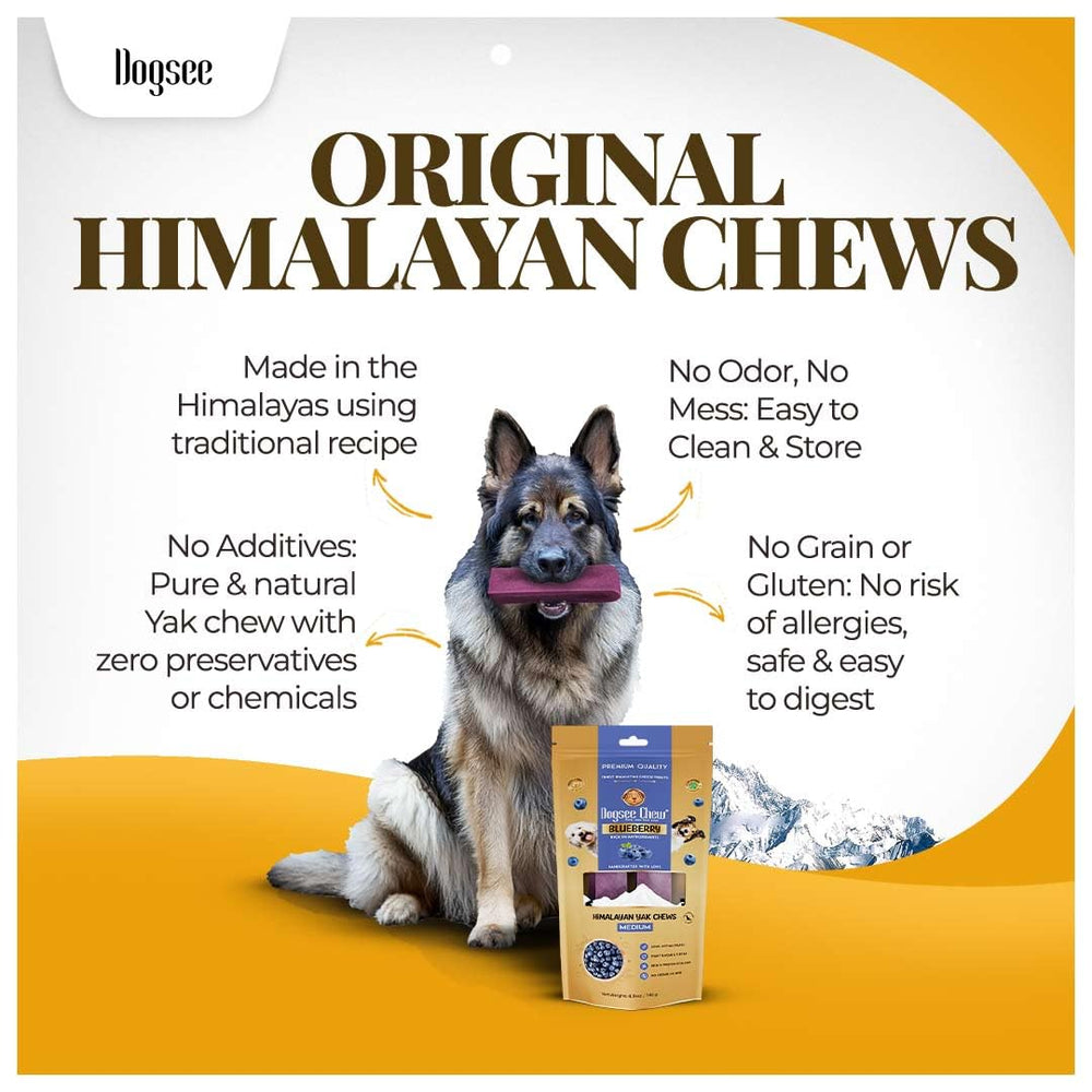 Dogsee Blueberry handcrafted yak milk chews made from natural ingredients.