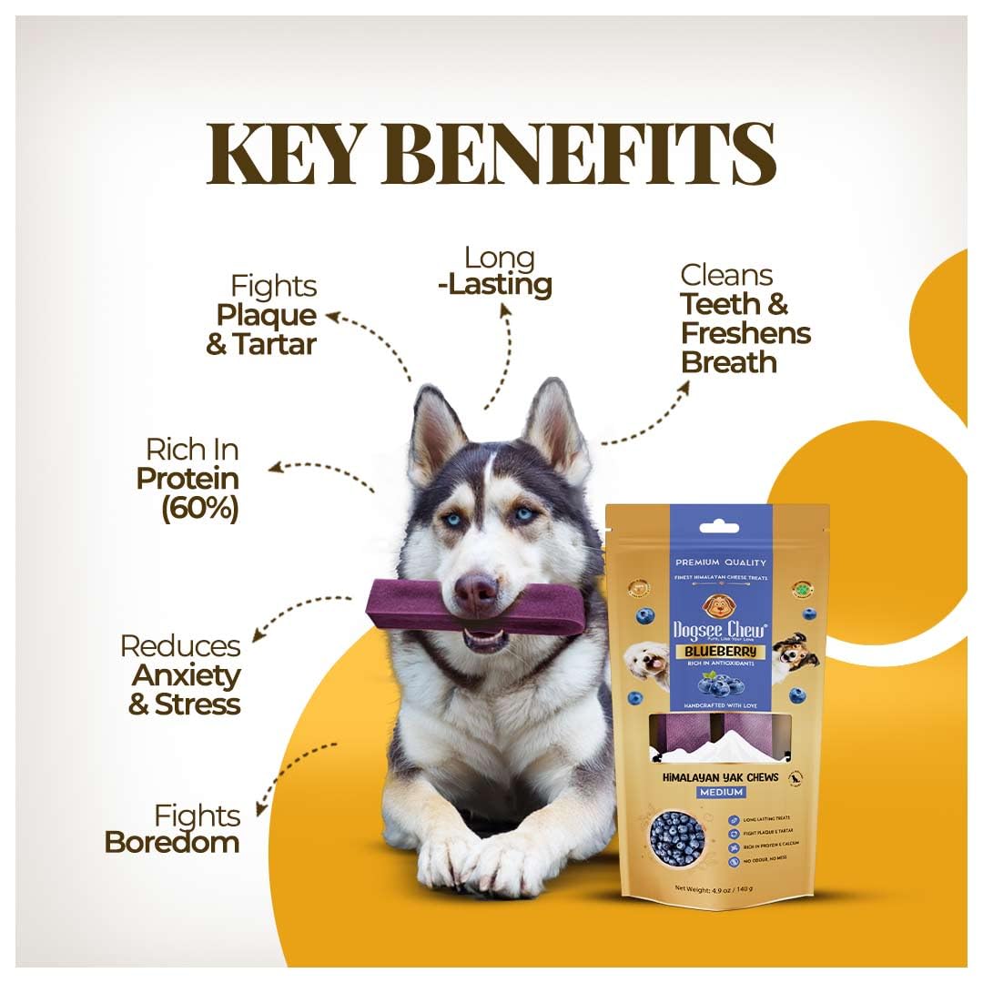 Dogsee Blueberry chew details reveal protein-rich formula and texture.