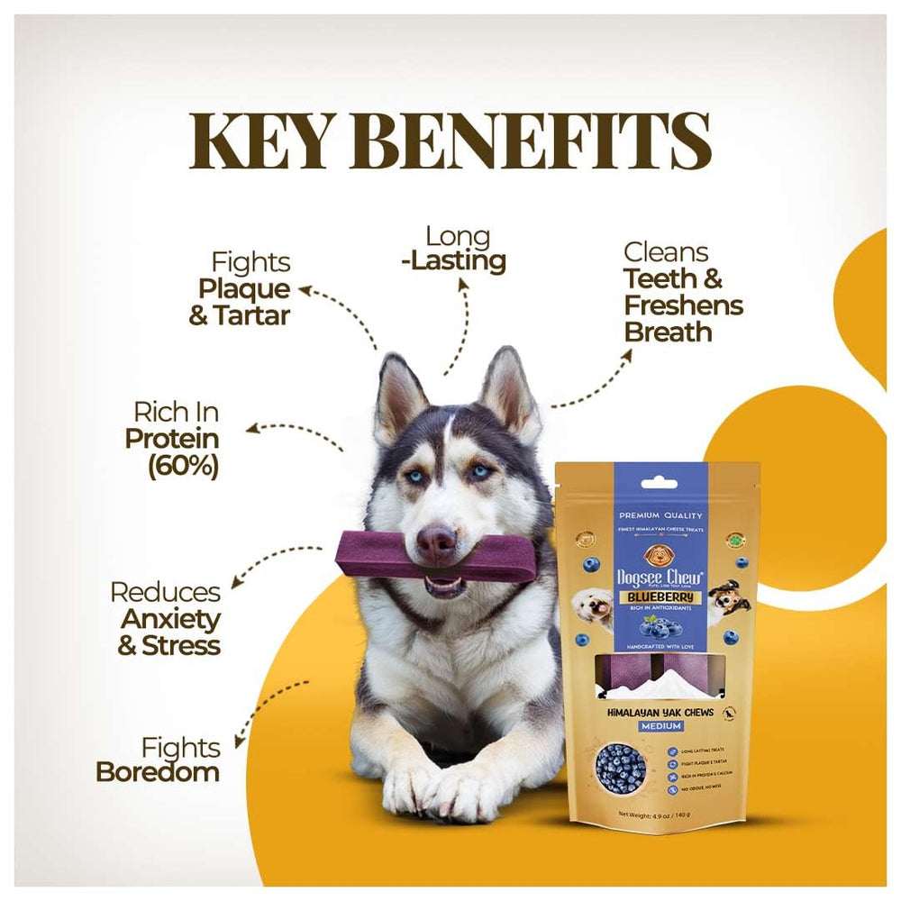 Dogsee Blueberry chew details reveal protein-rich formula and texture.