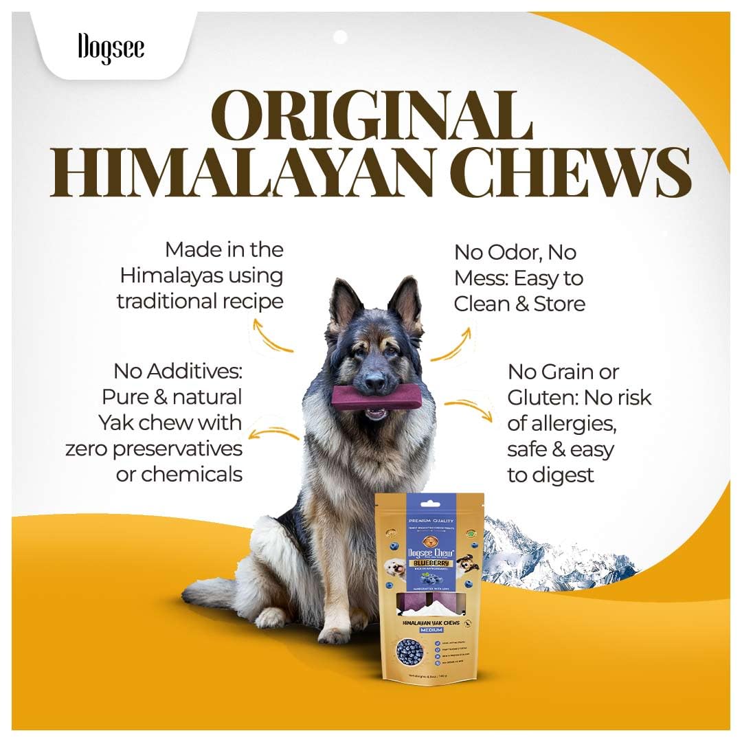 Dogsee Blueberry yak cheese dog treat close-up highlighting natural ingredients.