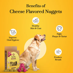 Dogsee odor-free chew nuggets, mess-free indoor and outdoor use