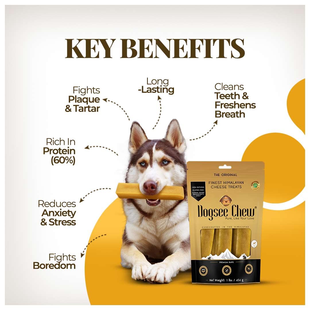Dogsee chews support oral hygiene with natural ingredients in every bite.