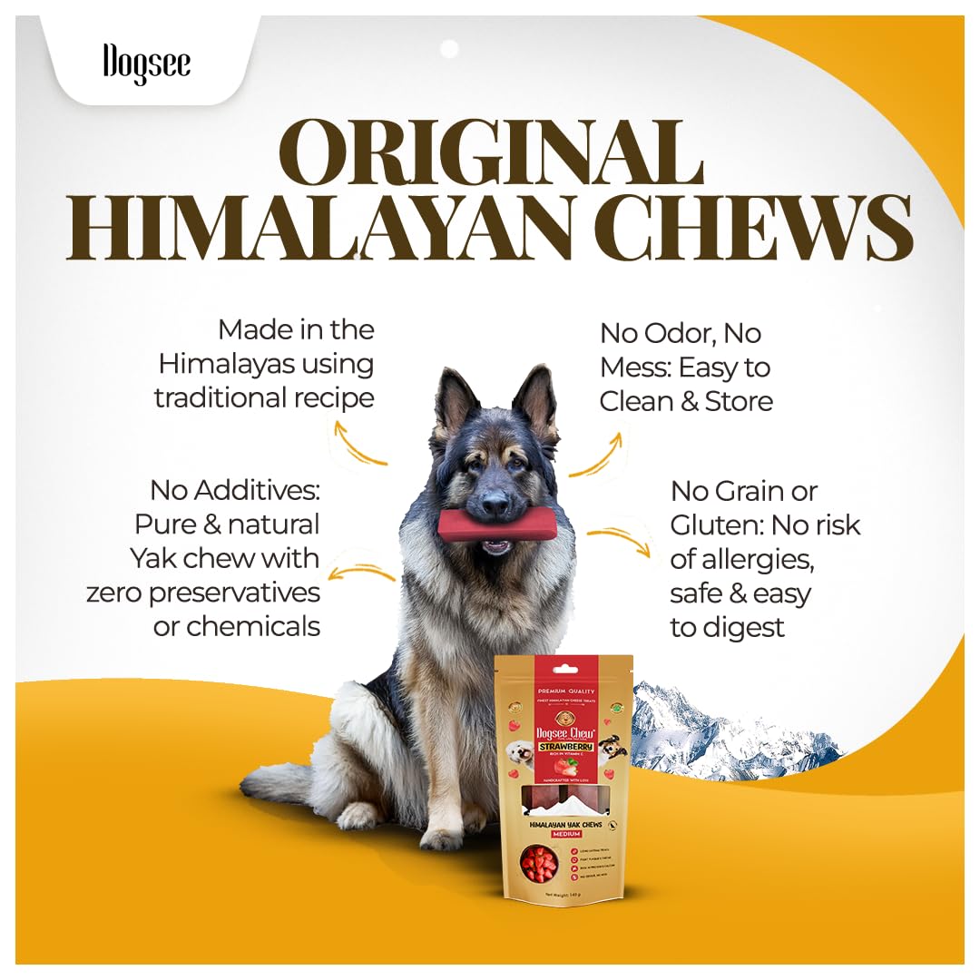 Dogsee strawberry close-up texture hard chew for dental engagement.