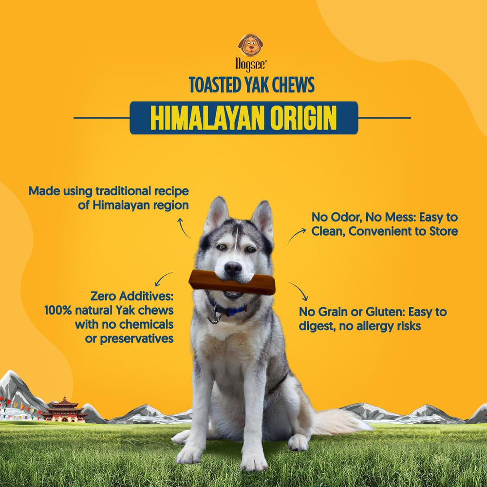 Dogsee Toasted Yak Chews for aggressive chewers: rugged texture supports longer chew sessions.