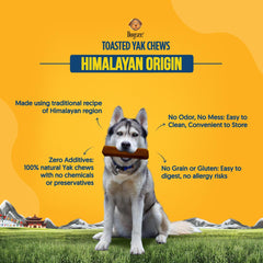 Dogsee Toasted Yak Chews for aggressive chewers: rugged texture supports longer chew sessions.