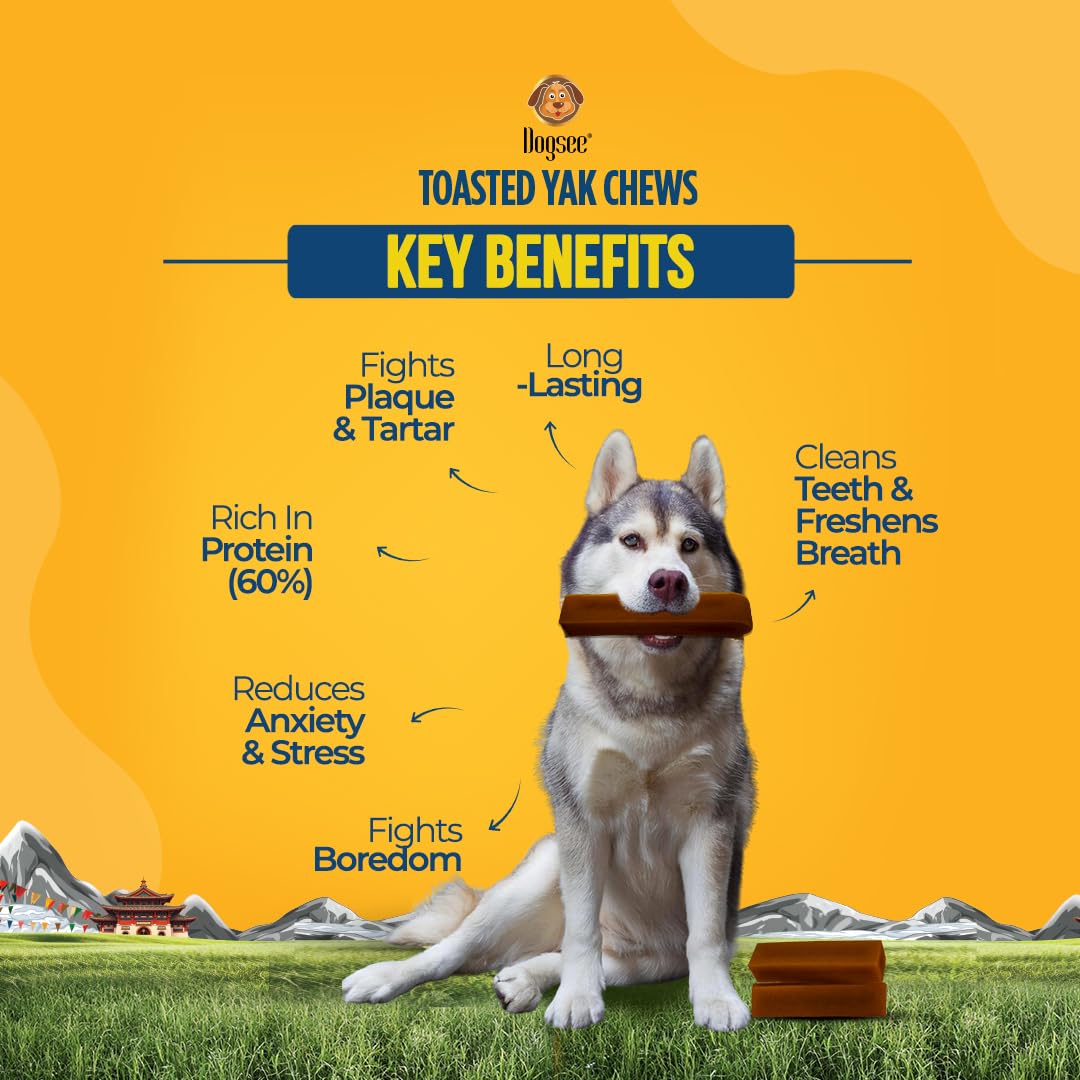 Dogsee Toasted Yak Chews no odor close-up: mess-free chew for home or travel.