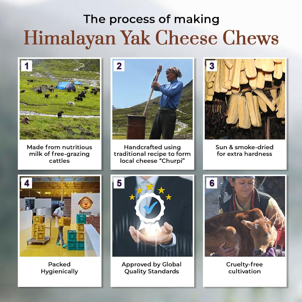 Dogsee Turmeric Yak Chews for small dogs; compact bites.