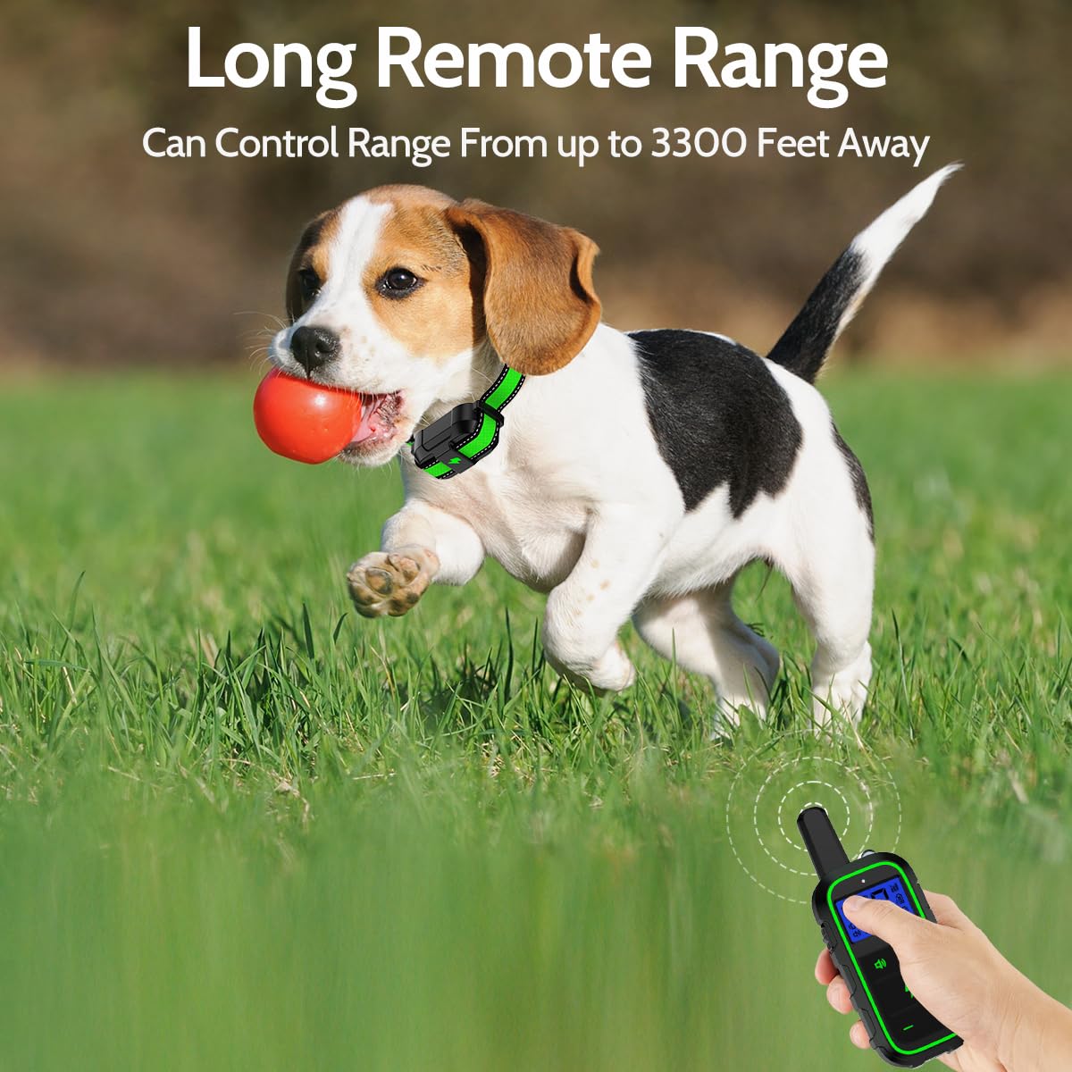 DogStop adjustable collar fits dogs from 10 to 100 pounds.