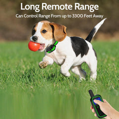 DogStop adjustable collar fits dogs from 10 to 100 pounds.