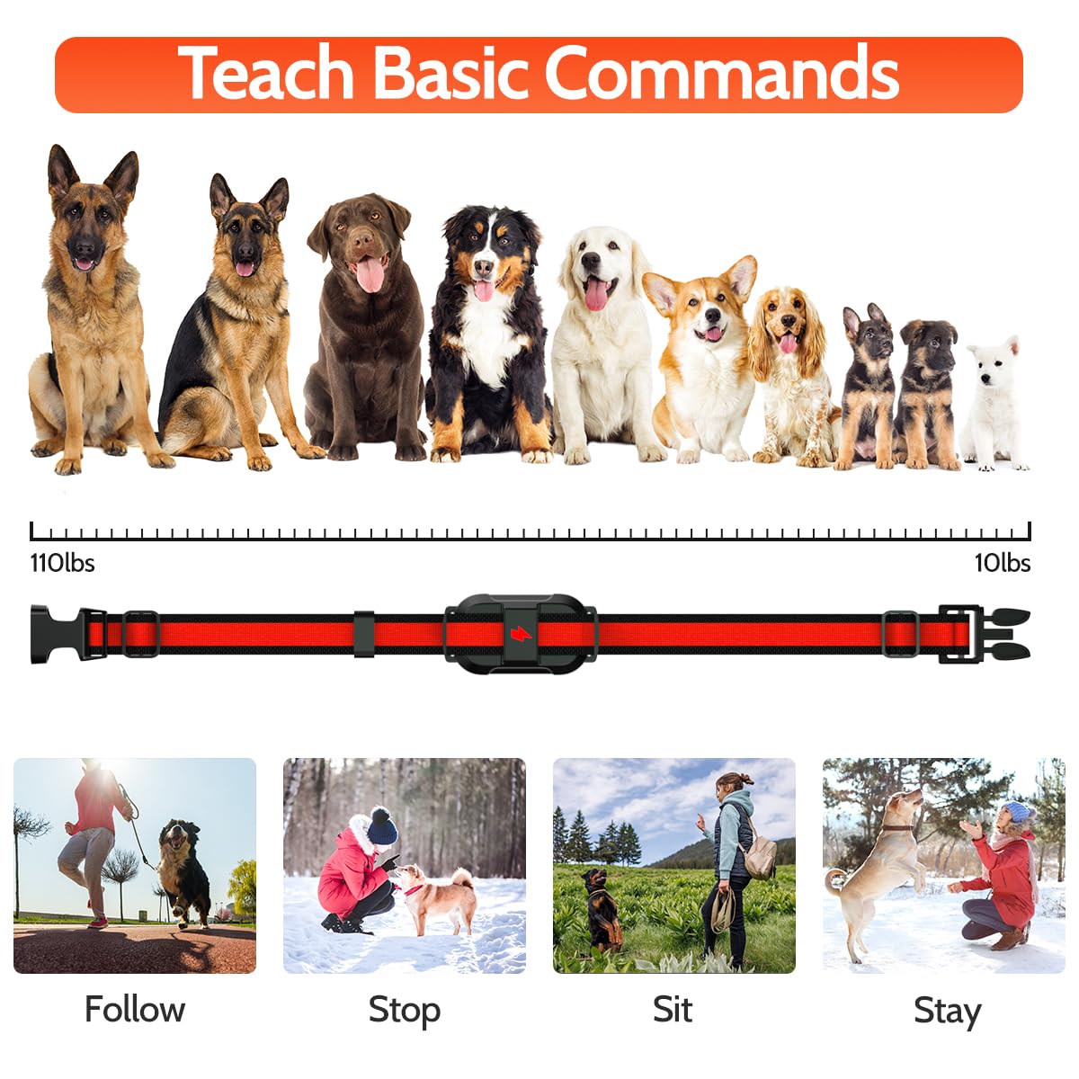 DogStop hands-free portable design makes training easy on the go.