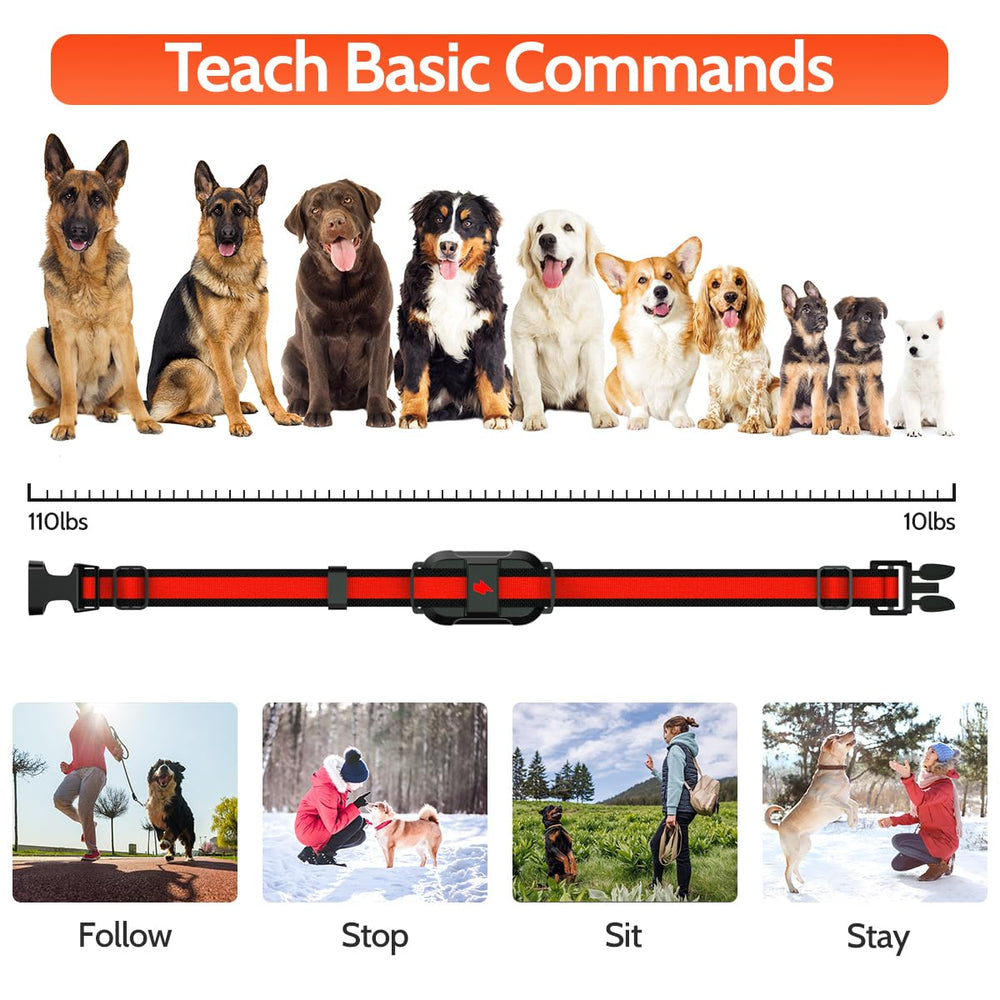 DogStop hands-free portable design makes training easy on the go.