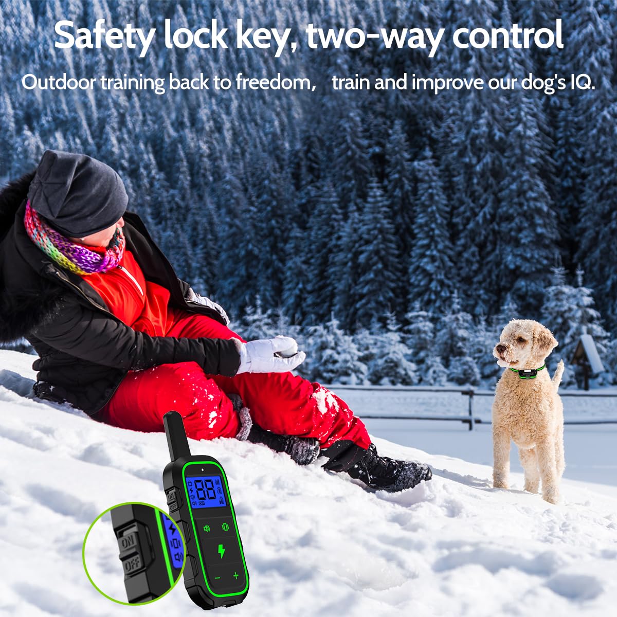 DogStop night light improves visibility during evening training sessions.