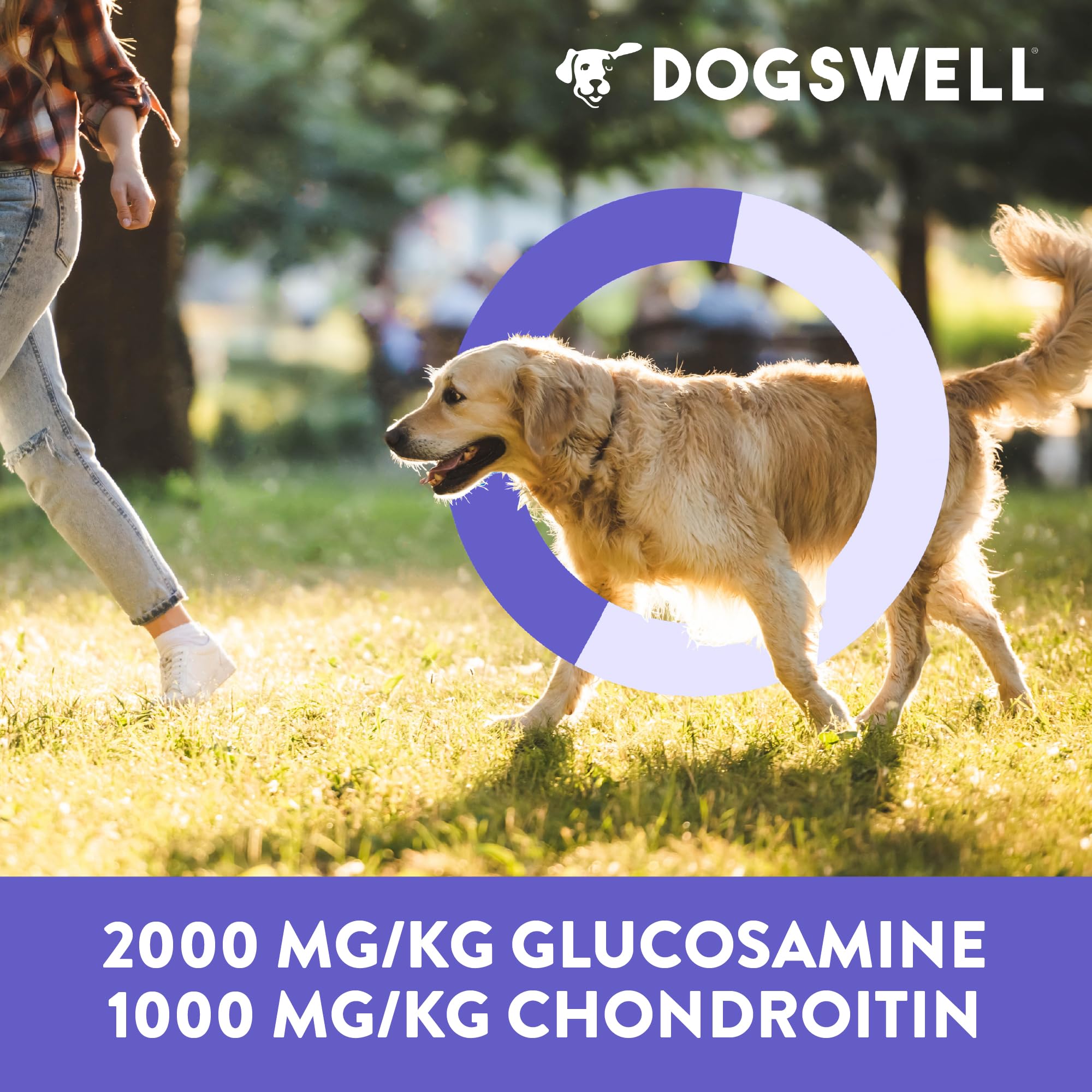DOGSWELL clean ingredient jerky with no grains or artificial colors