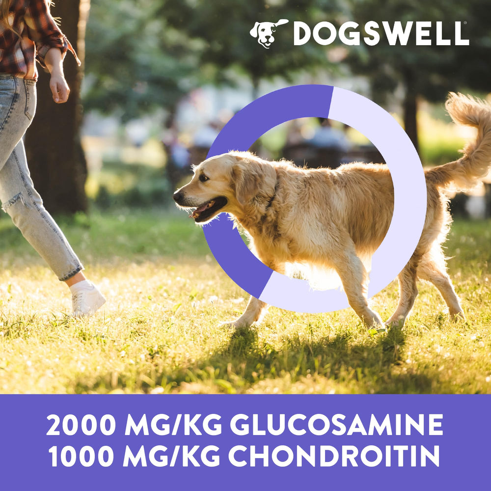 DOGSWELL clean ingredient jerky with no grains or artificial colors