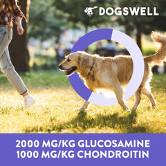 DOGSWELL clean ingredient jerky with no grains or artificial colors