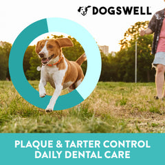 Dogswell Dental Chicken Jerky treats on table with breath-freshening aroma.