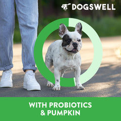 DOGSWELL Lamb jerky with pumpkin and probiotics supports gut-friendly ingredients