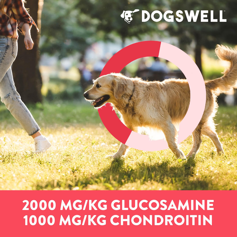 Dogswell Hip & Joint Soft Strips soft texture close-up, easy chew for seniors