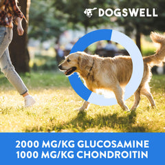 Dogswell no-added-sugar treat supports mindful snacking
