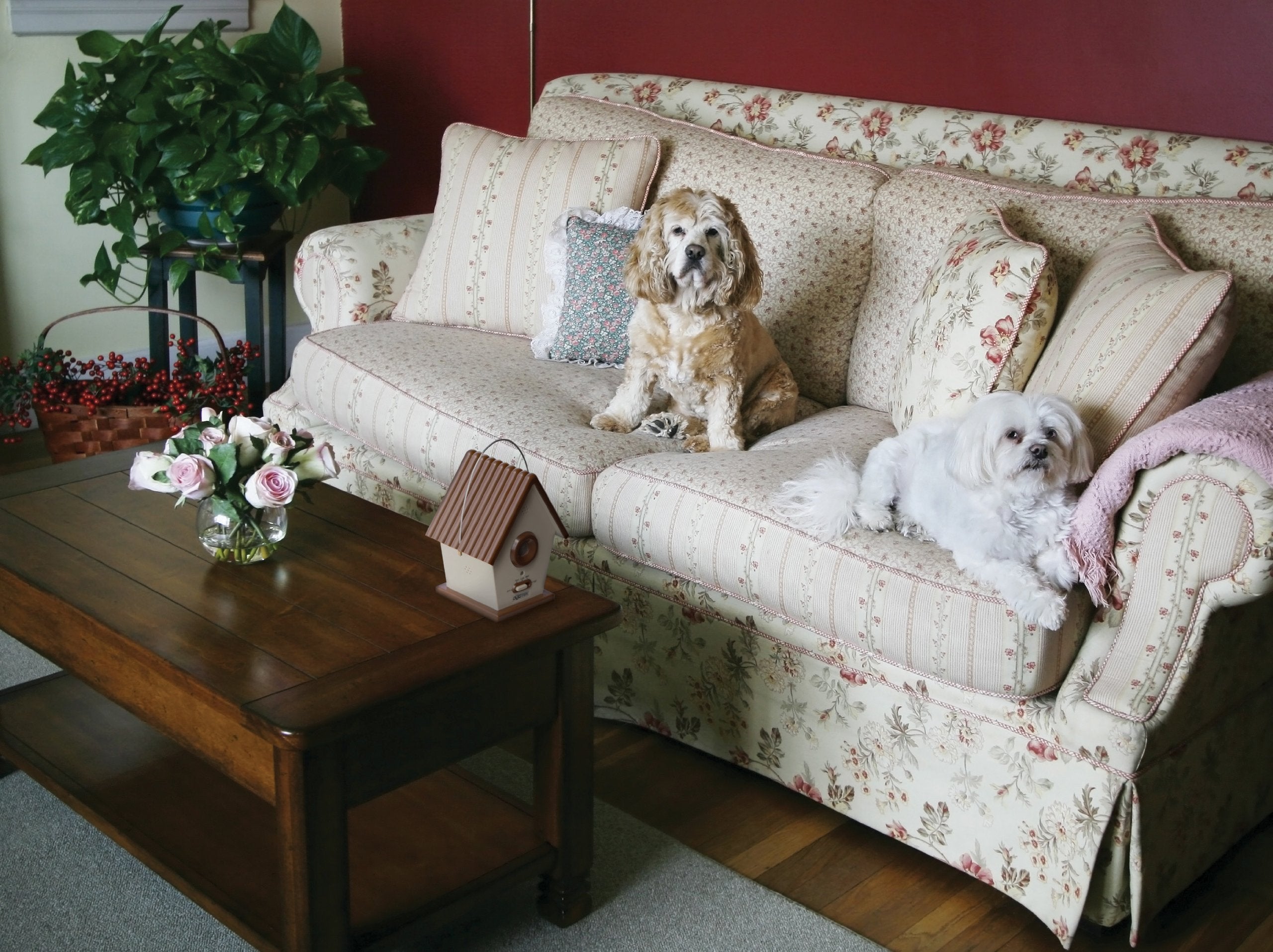 DOGTEK three sensors provide wide detection for barking up to 50 feet.