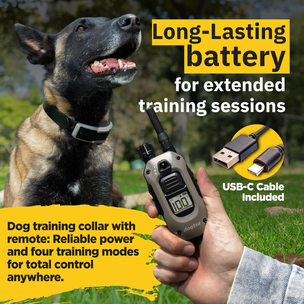 Dogtra 1900X offers 100 stimulation levels for tailored correction