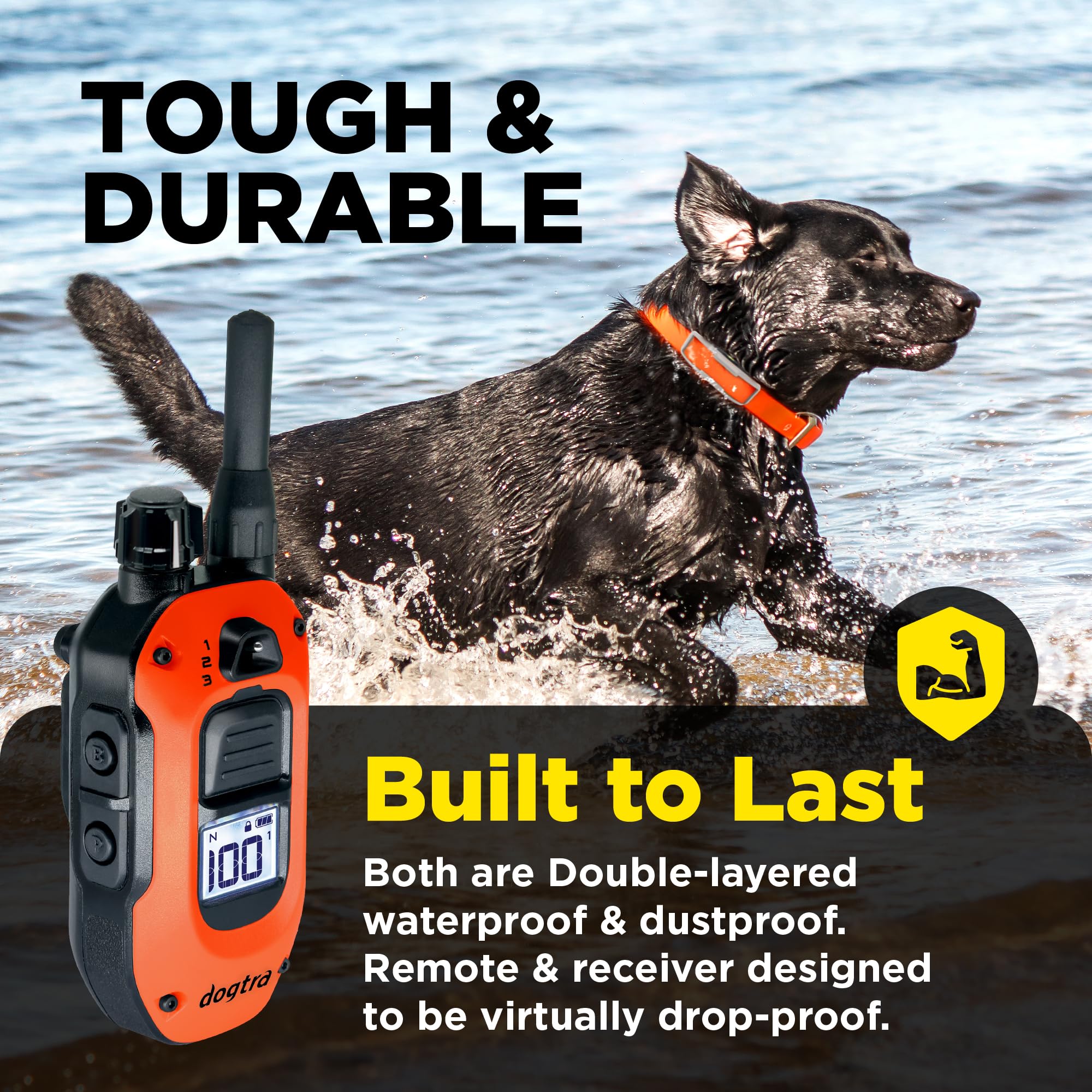 Dogtra 1900X with 100 stimulation levels for customizable training without overwhelm.