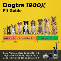Dogtra 1900X handheld remote control for easy two-dog training.
