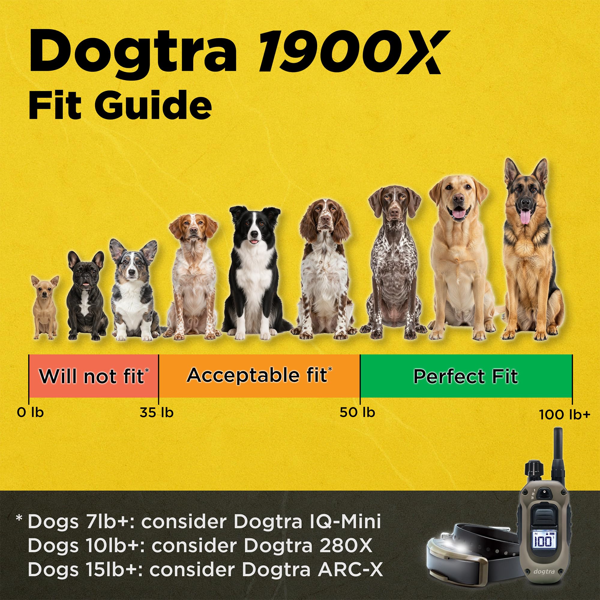 Dogtra 1900X remote clipped on belt for hands-free control during activity.