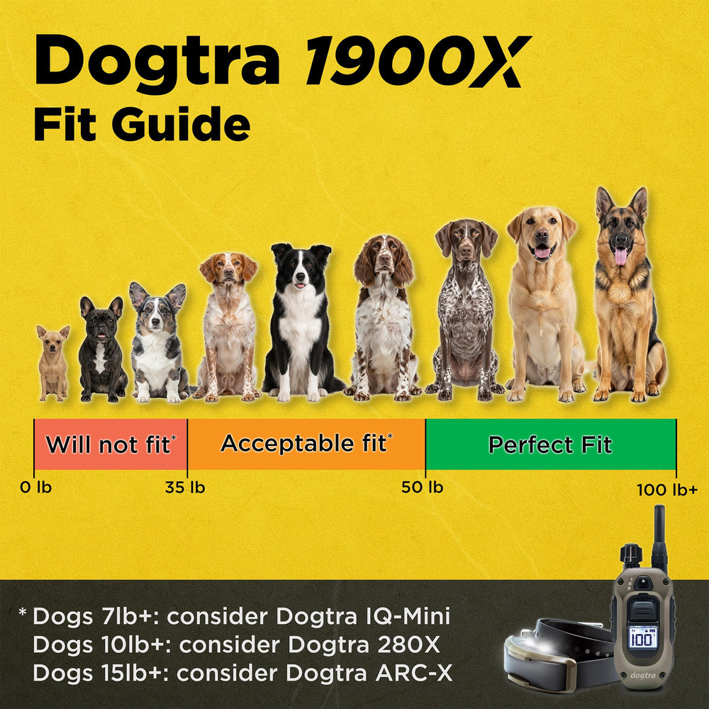 Dogtra 1900X remote clipped on belt for hands-free control during activity.