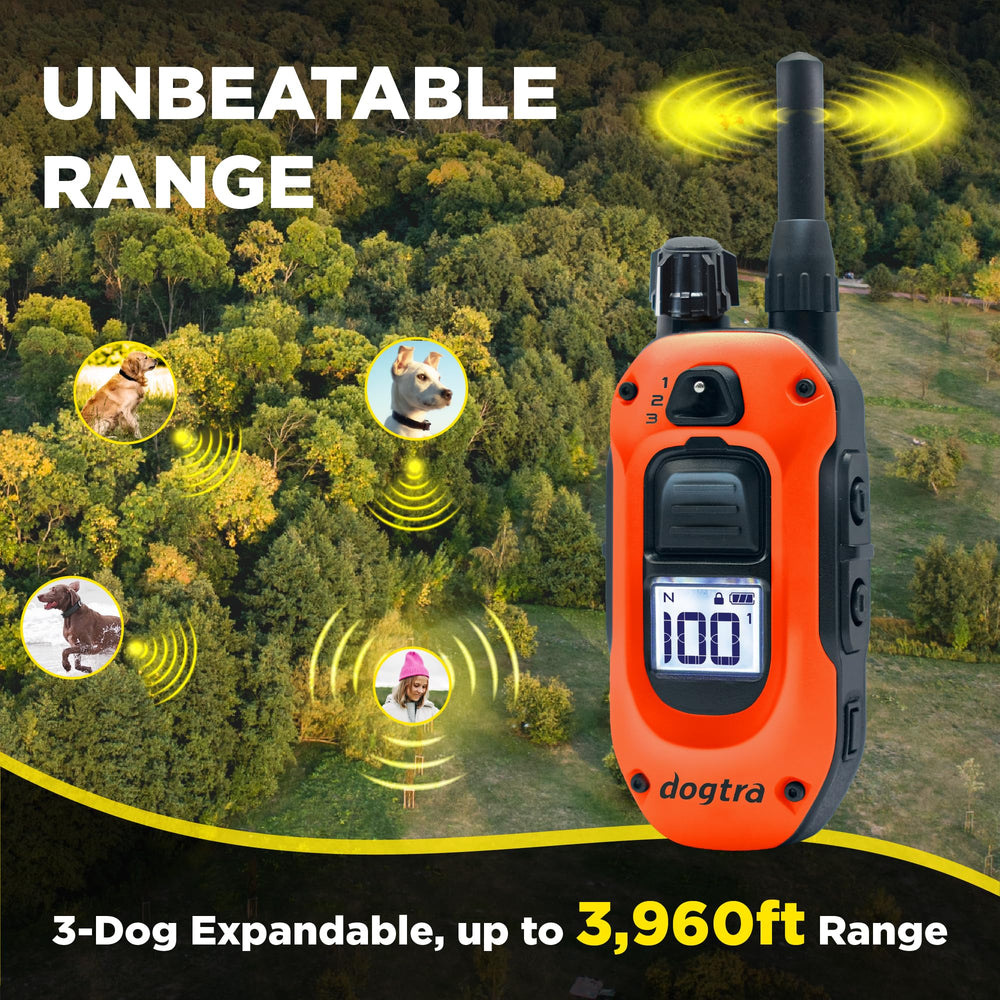 Dogtra 1900X IPX9K waterproof design for use in rain or swimming during training.