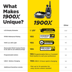 Dogtra 1900X LED collar light enhances visibility during night sessions.