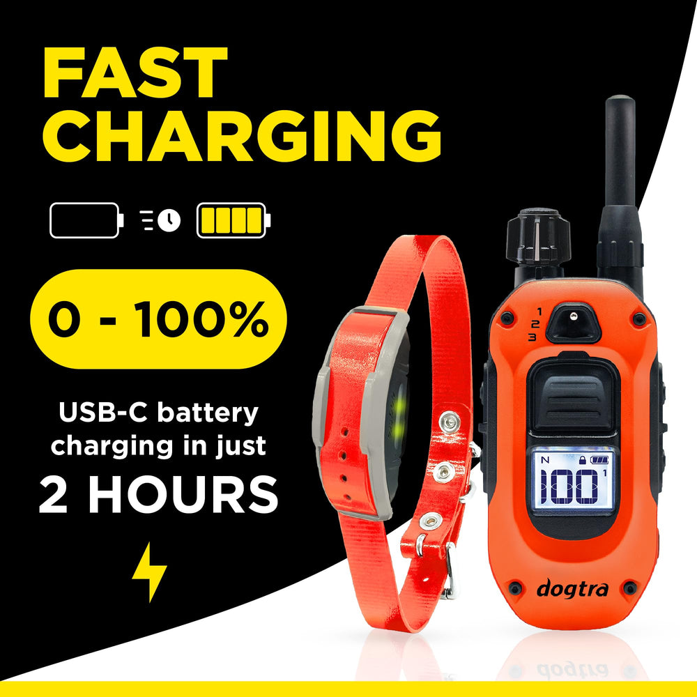 Dogtra 1900X LED safety light helps keep dogs visible during night training sessions.