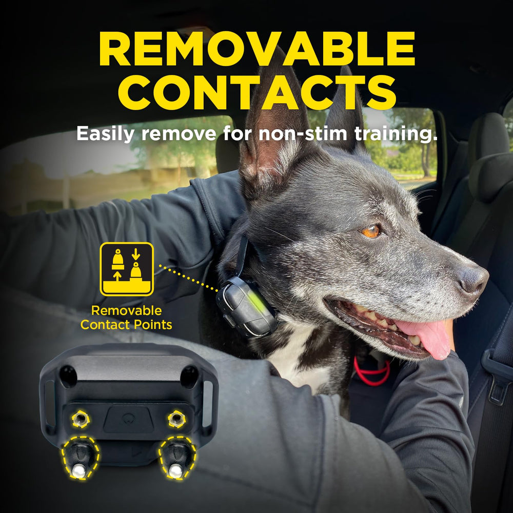 Dogtra 1900X 3/4 mile range image showing extended training reach for recall.