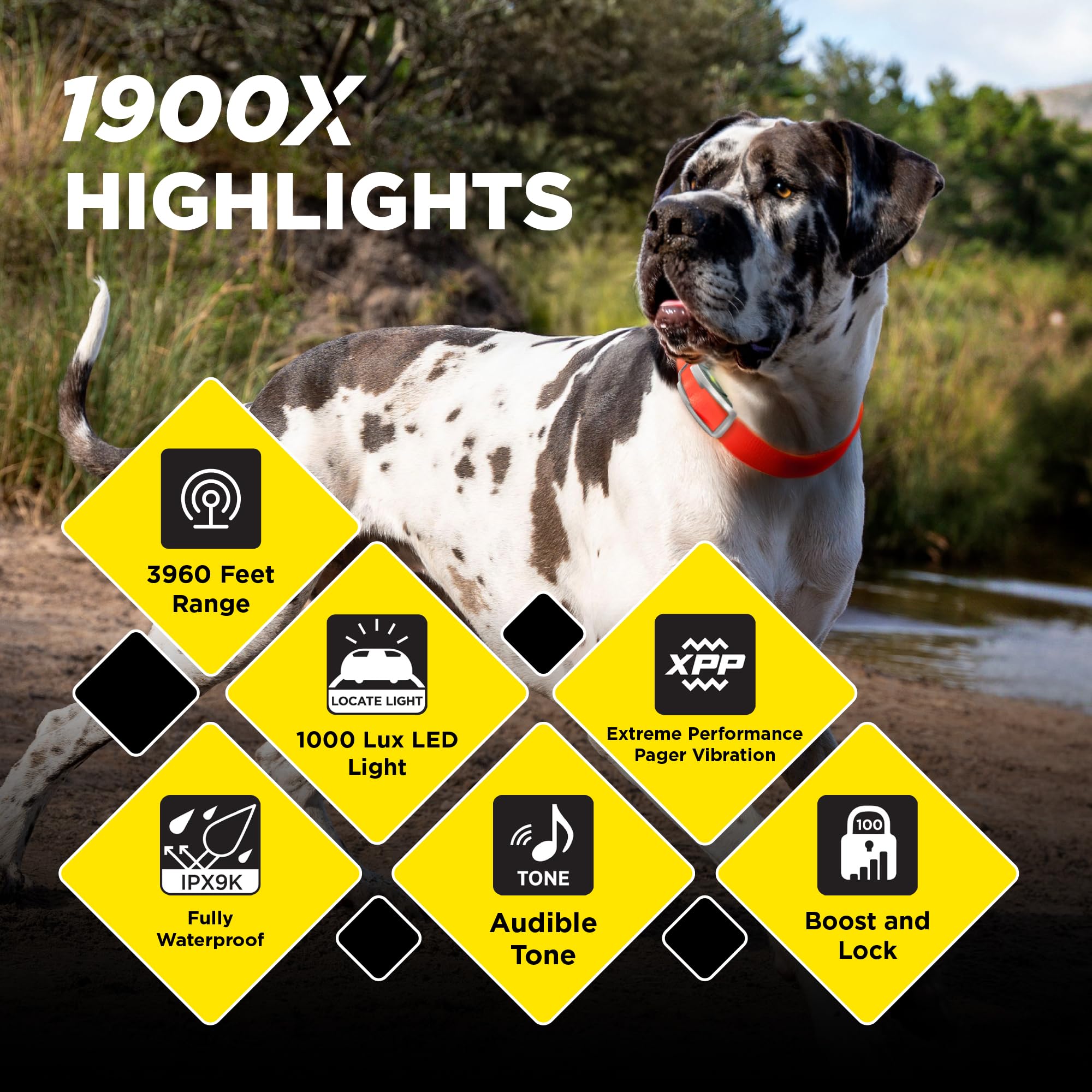 Dogtra 1900X receiver collar built for durable training in various outdoor conditions.