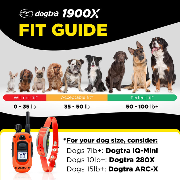 Dogtra 1900X remote transmitter for precise signaling in yard, park, or field training.