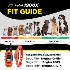 Dogtra 1900X remote transmitter for precise signaling in yard, park, or field training.