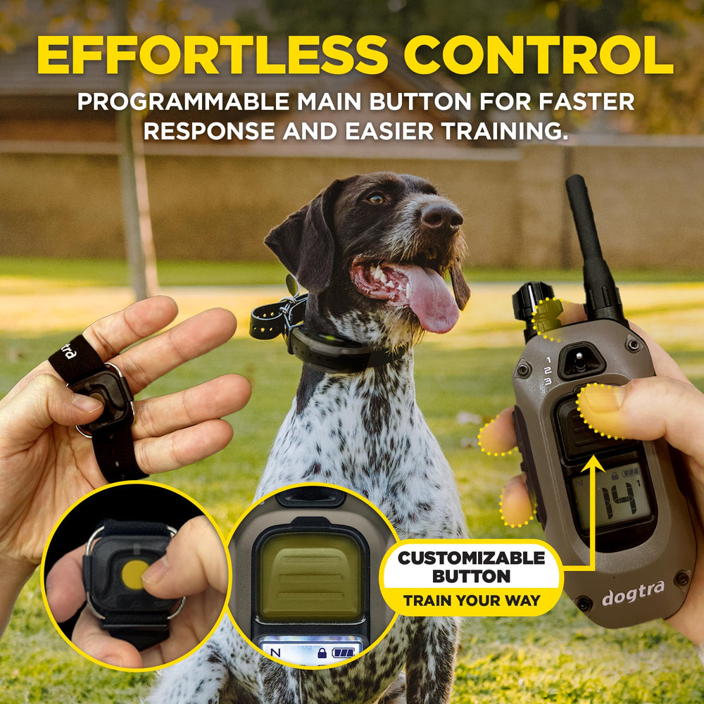 Safety lock prevents accidental level changes for consistent sessions.