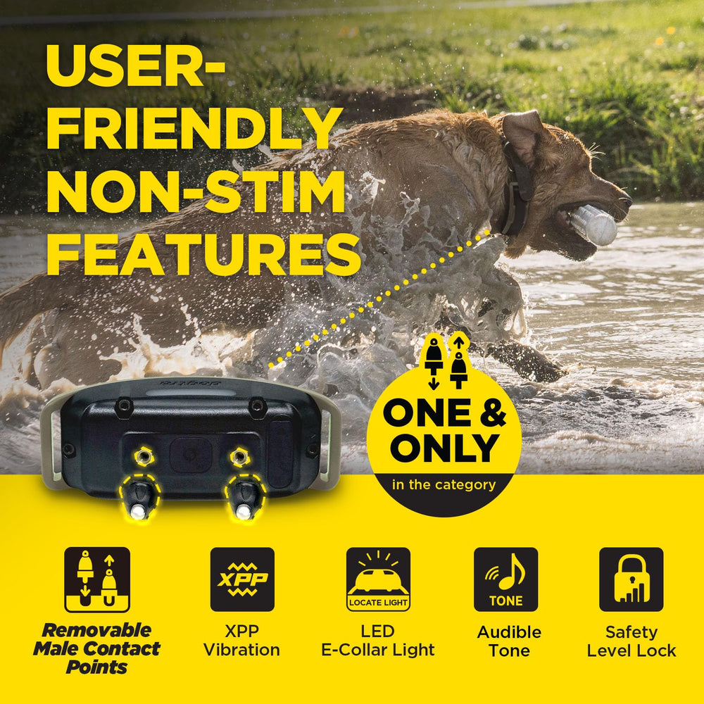 Dogtra 1900X shows 100 stimulation levels for customized training.